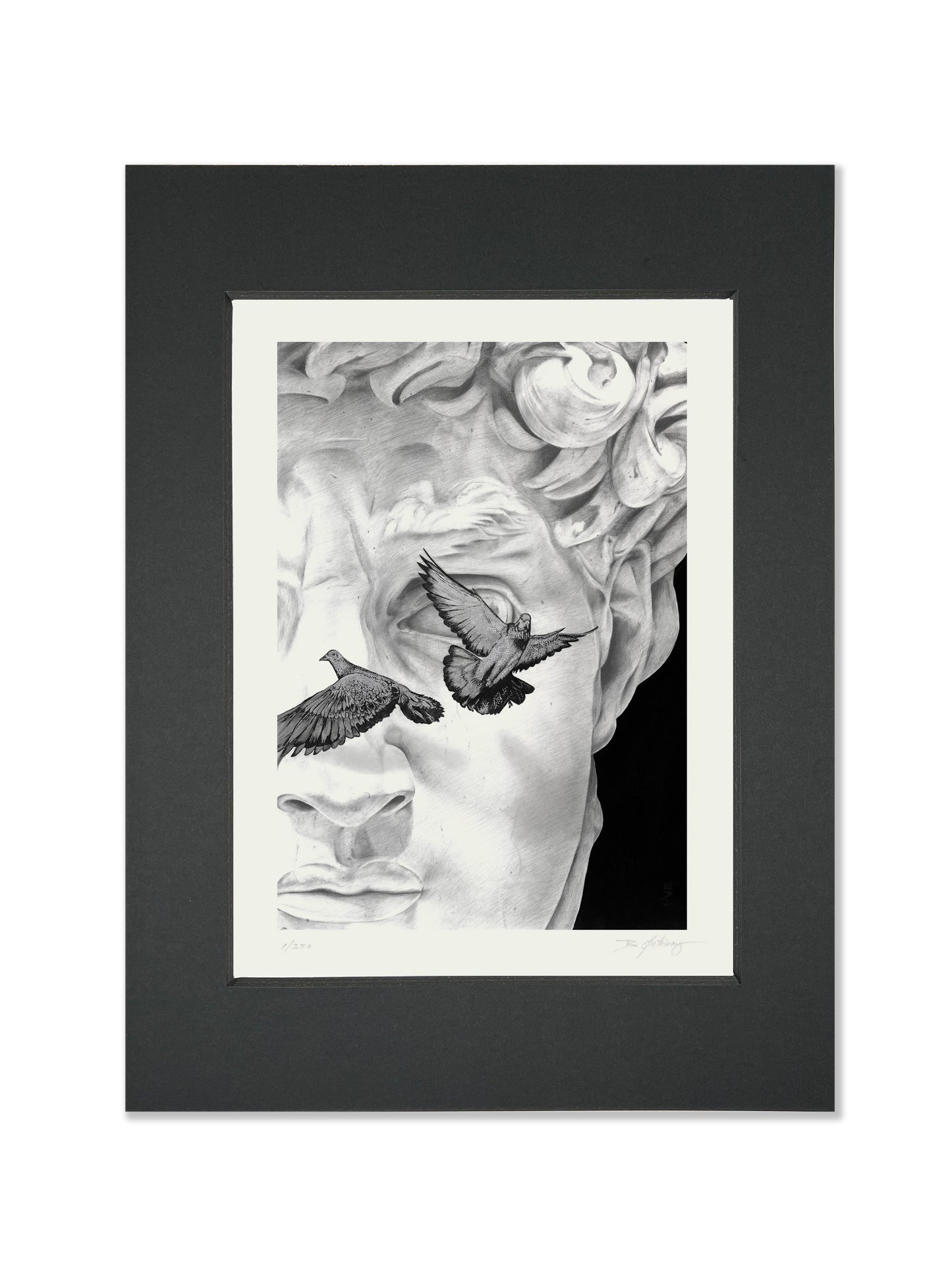 Art Print 9" X 12" - David & Pigeons