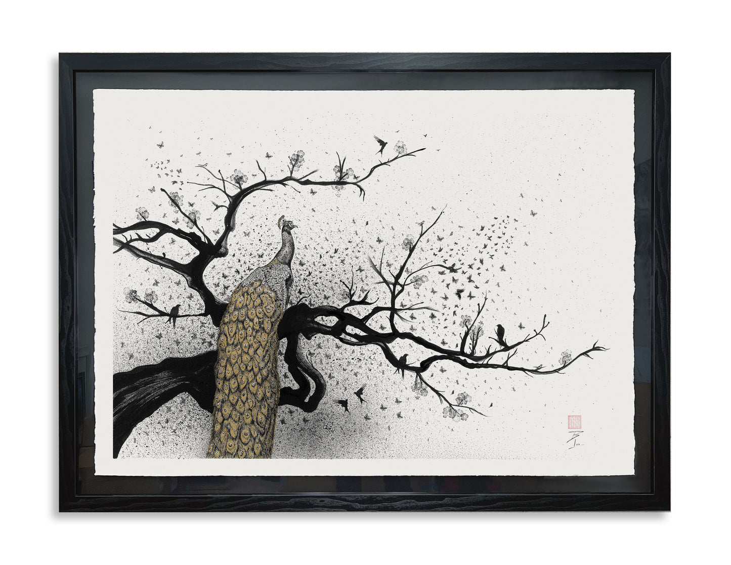 Peacock - Original Framed Artwork