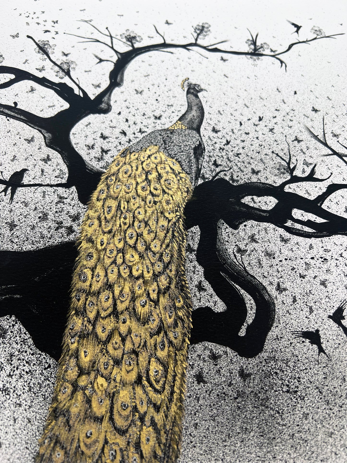 Limited Edition Giclée Print - 18" X 24" - Peacock