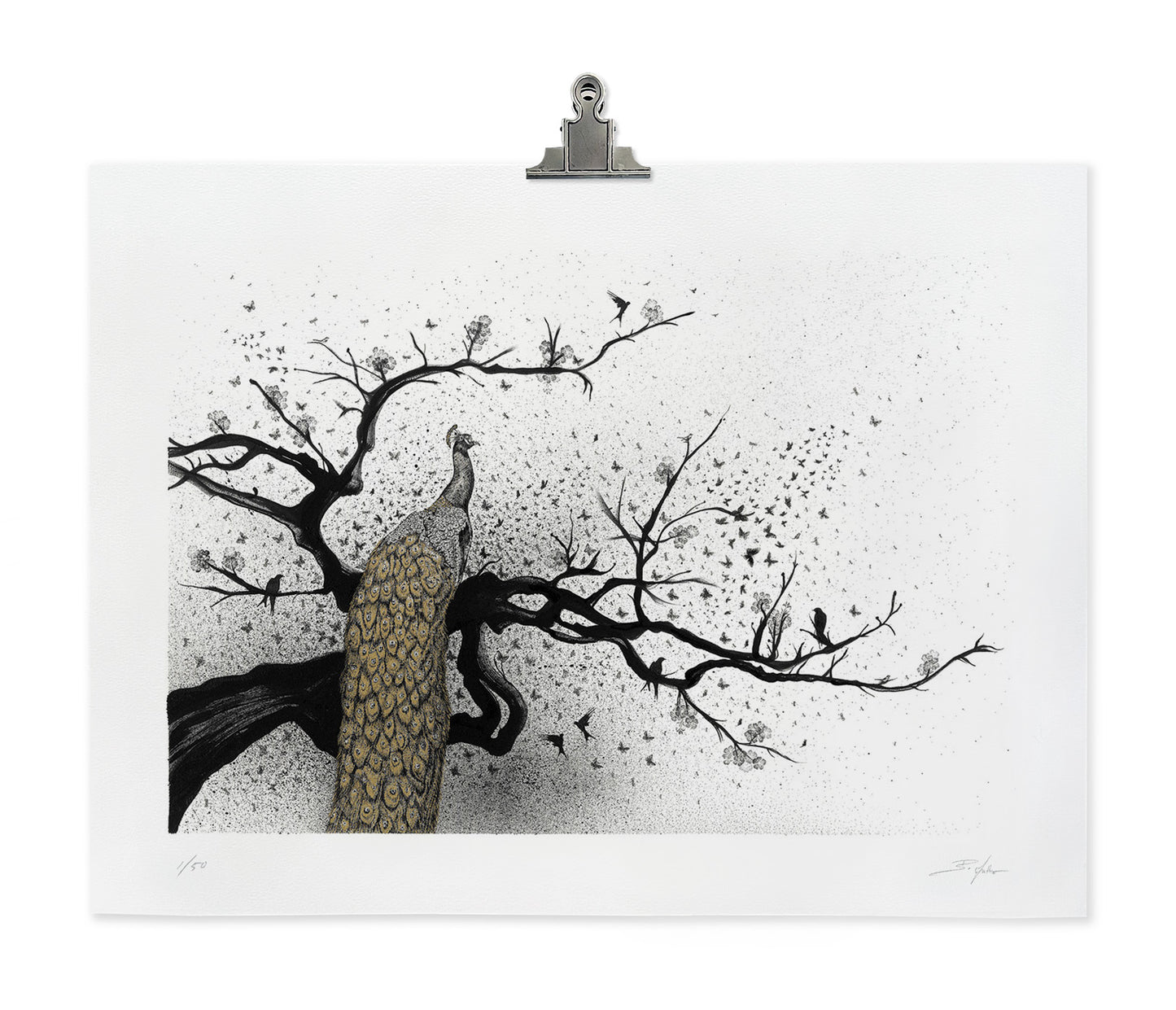 Limited Edition Giclée Print - 18" X 24" - Peacock