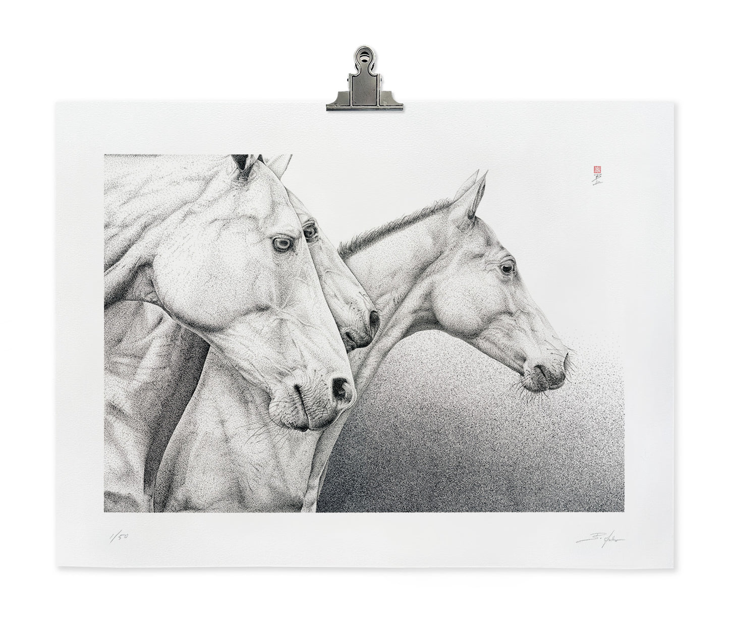 Limited Edition Giclée Print - 18" X 24" - Wild Horses