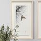 Humming - Original Framed Artwork