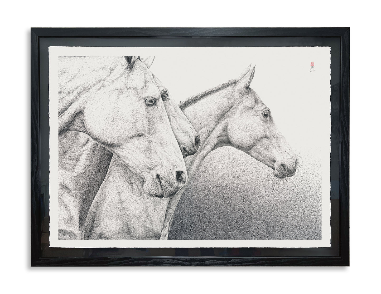 Wild Horses - Original Framed Artwork
