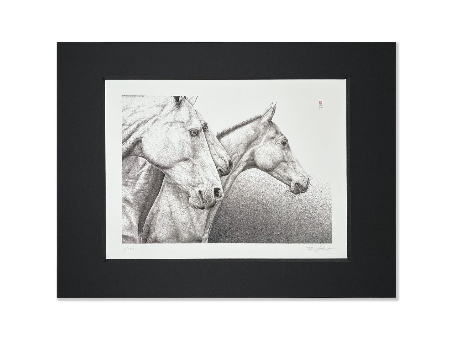 Art Print 9" X 12" - Wild Horses